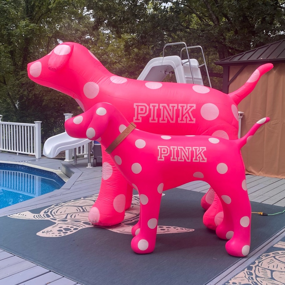 Victoria’s Secret PINK 1 of a kind rare displays